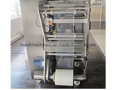 China Manufacturer Detergent/Washing Powder Form, Fill, Seal Packing Machine in Bag (100g-5kg)